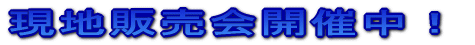 現地販売会